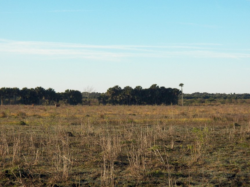 Marl Bed Flats are flat.