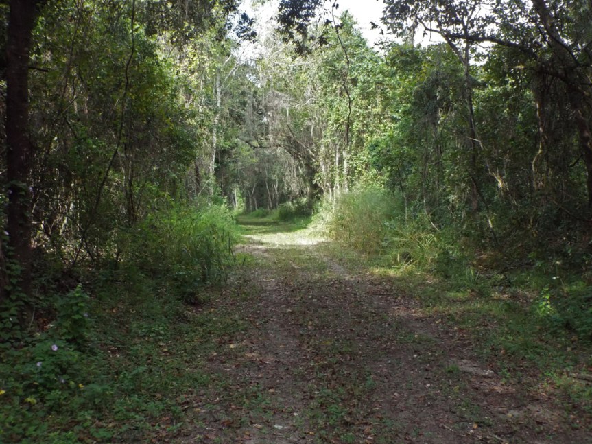 green-mountain-overlook-path