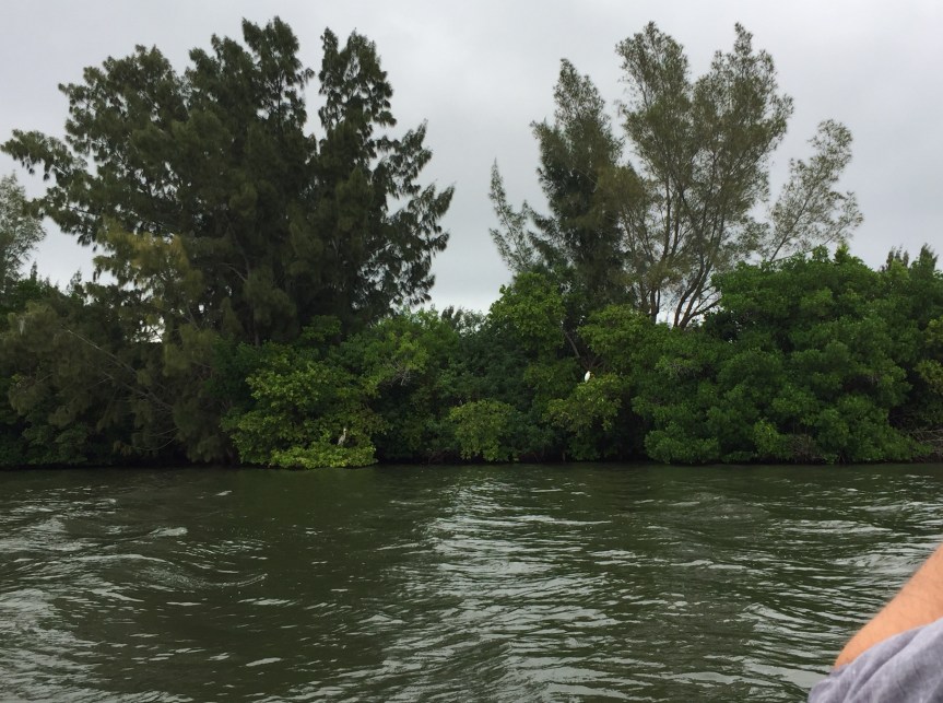 leeward-side-by-cathy-01