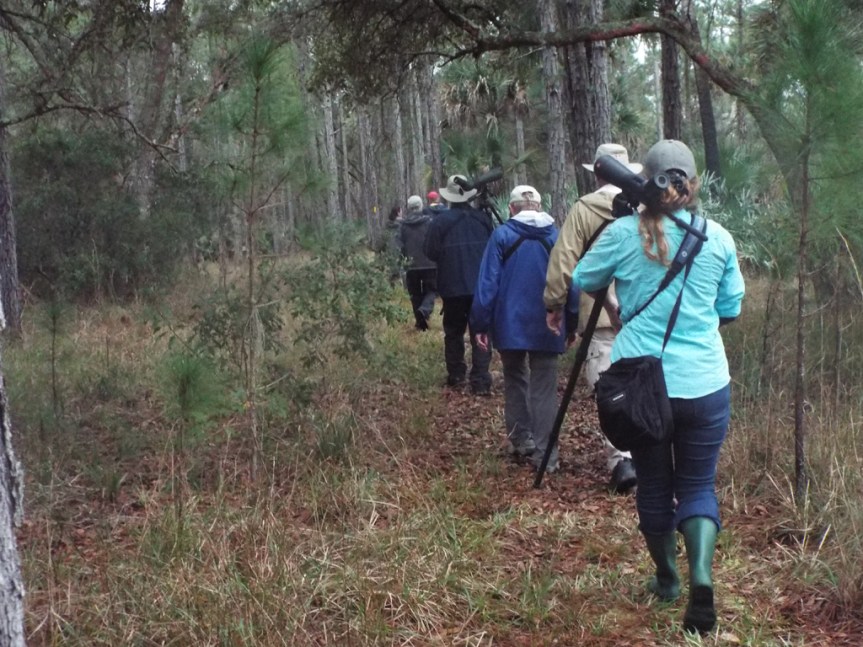 hiking-through-tosohatchee
