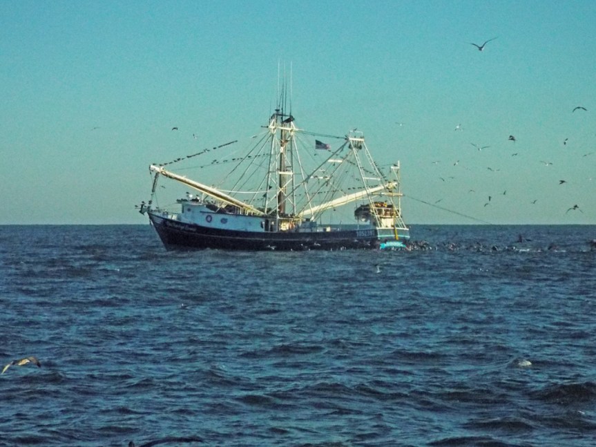 shrimp-boat1