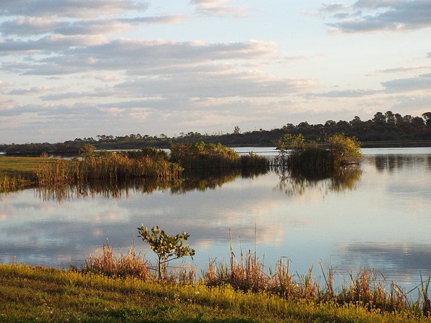 pine-island-north-pond