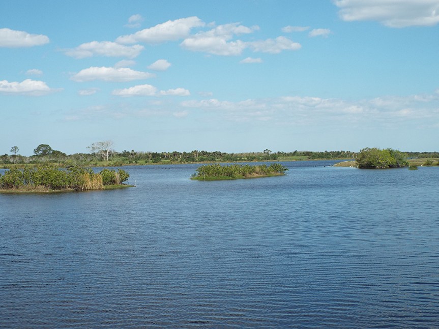 pine-island-north-pond2
