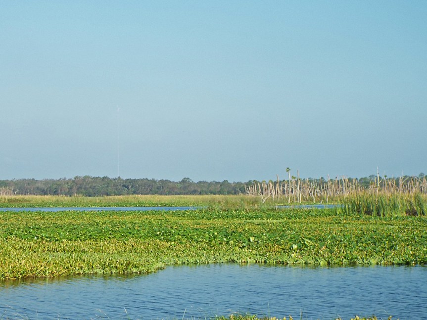 orlando-wetlands-park1