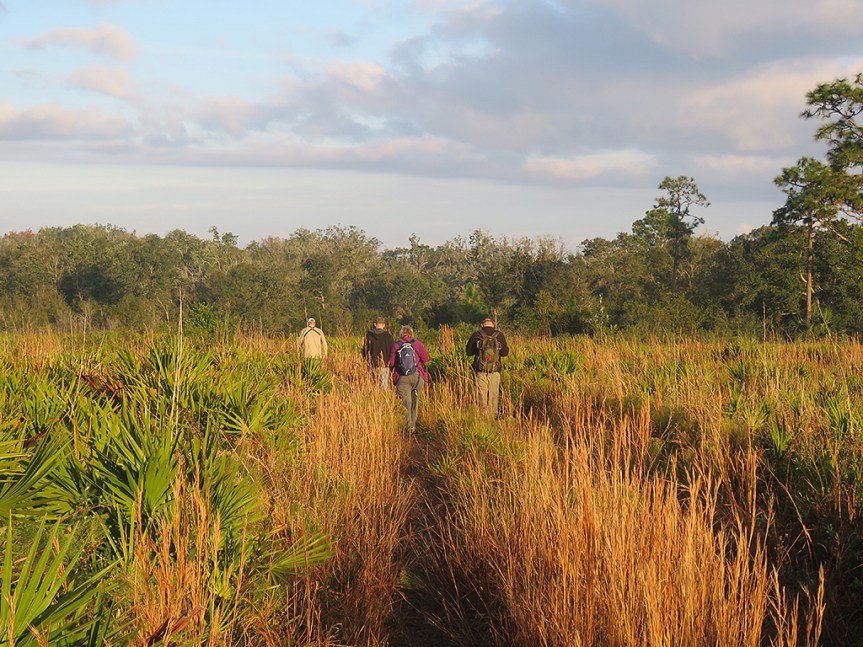 balm-scrub-preserve1