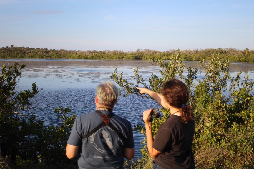bella-canvasback-sighted