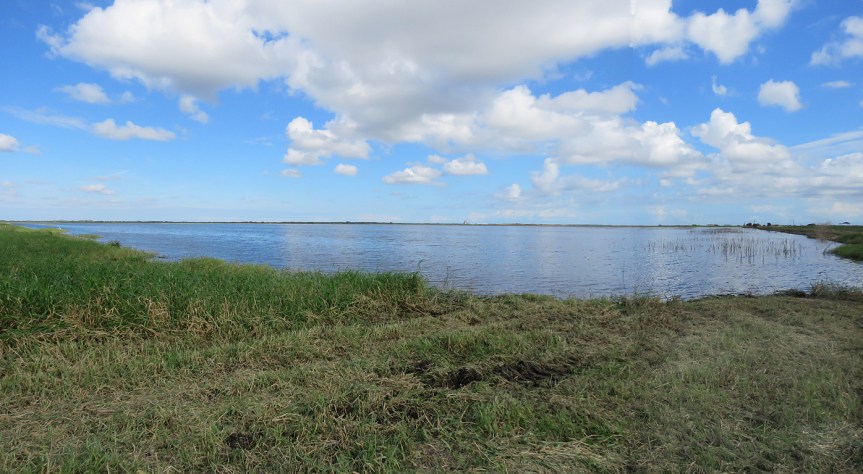 tm-goodwin-broadmoor