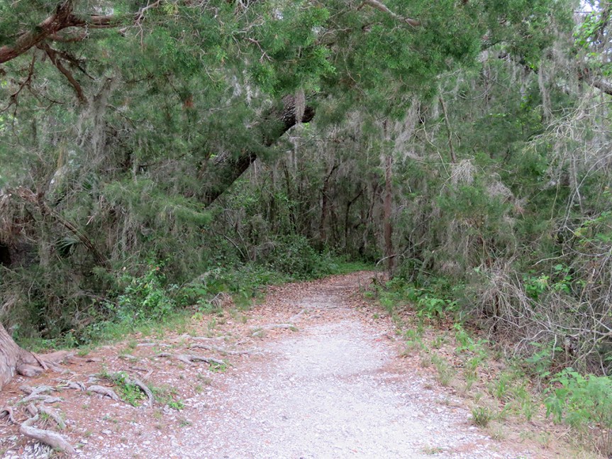 shell-mound-trail