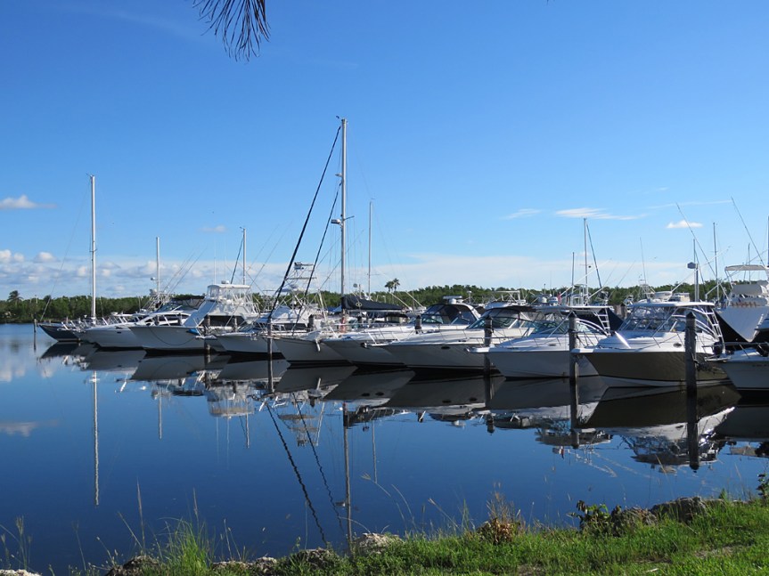 a row of fishing and pleasure boats in a marina on calm water with a blue sky.