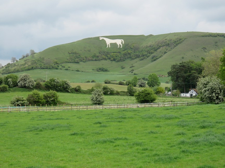 white-horse03