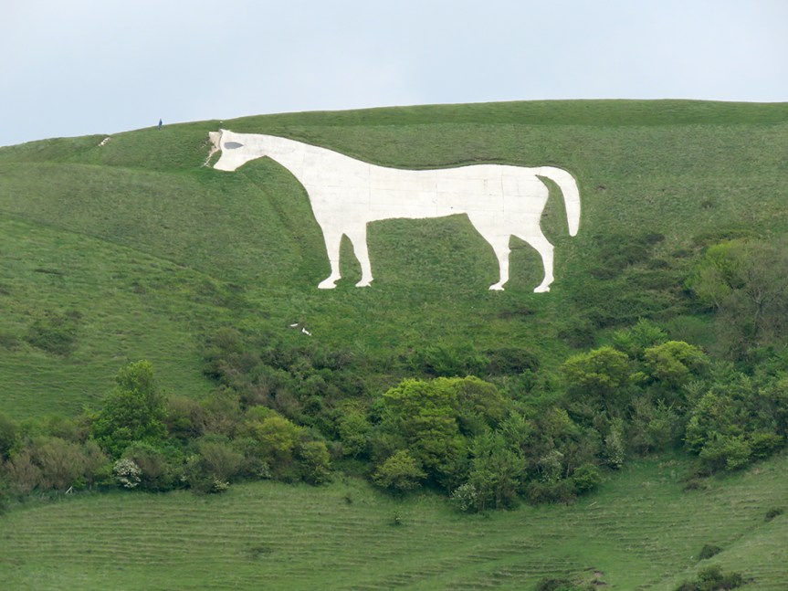 white-horse04