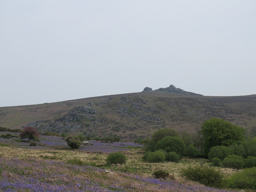 Distant rock outcrop upon a hill with scrub and grass in the foreground.
