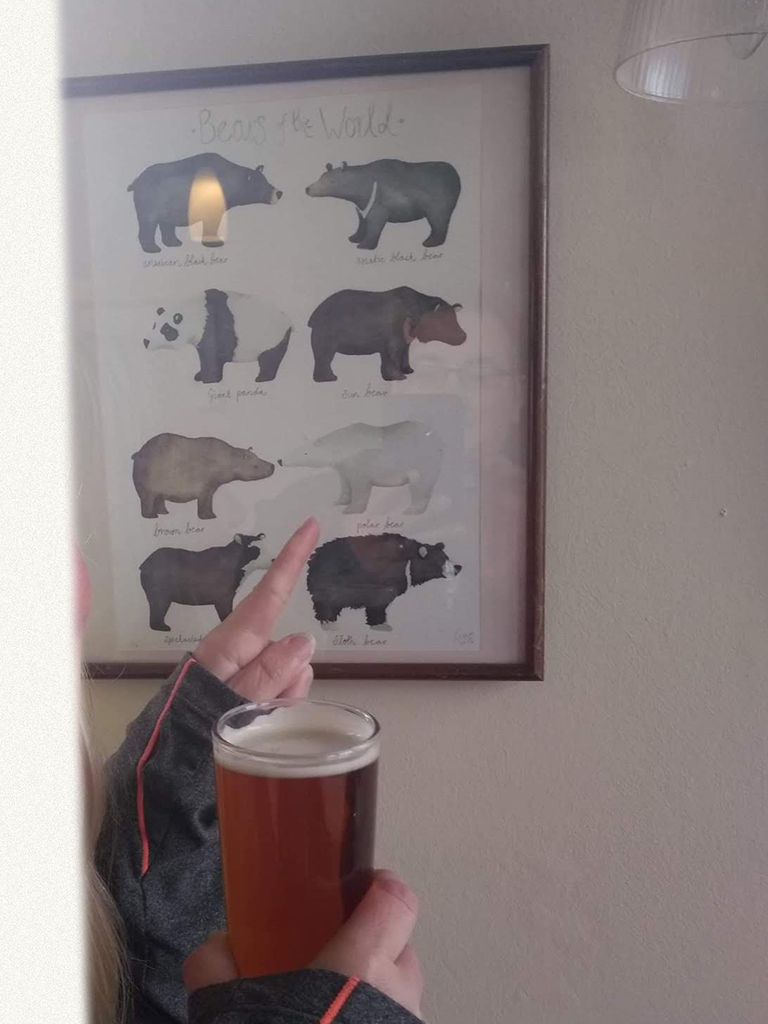 A drawing of bears framed on a wall, person pointing to Polar Bear with one hand, holding a pint of ale in the other.